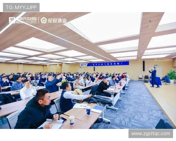 企业家从政:商界精英如何推动政策创新与国家发展